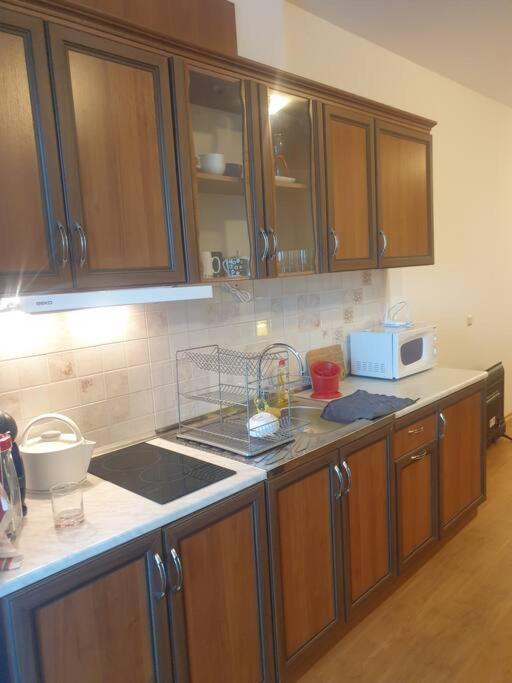 Studio Silver Terace With Sea View For 4 Person Bjala Exteriér fotografie