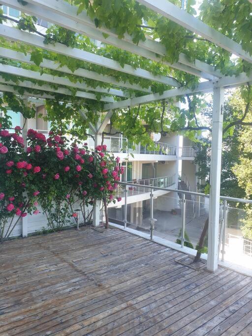 Studio Silver Terace With Sea View For 4 Person Bjala Exteriér fotografie
